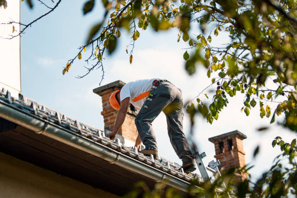 Best Tile Roofing Contractor  in Fremont, MI