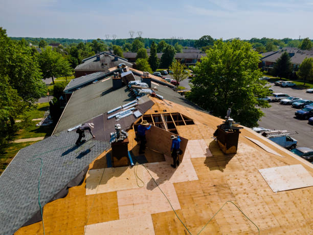 Best New Roof Installation  in Fremont, MI