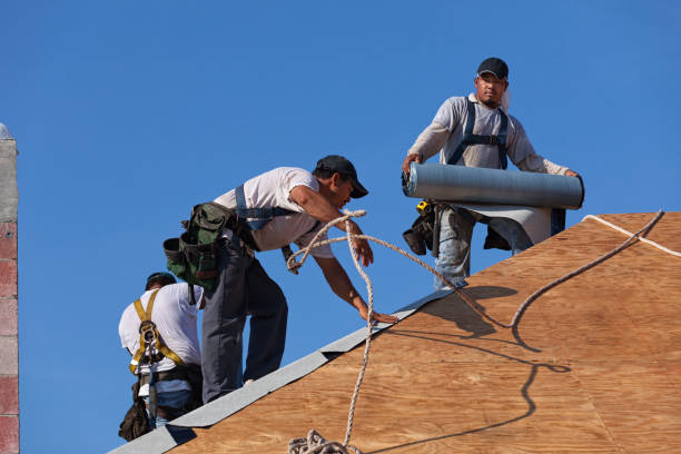 Best Affordable Roofing Company  in Fremont, MI
