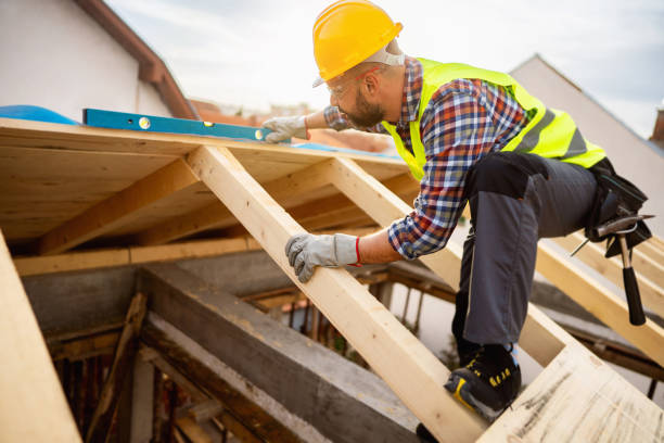 Best Residential Roof Replacement  in Fremont, MI