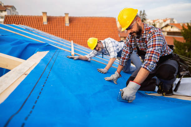 Best Residential Roofing Contractor  in Fremont, MI