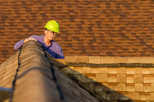 Best Roof Leak Repair  in Fremont, MI