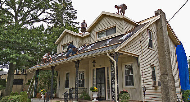 Best Residential Roofing Contractor  in Fremont, MI