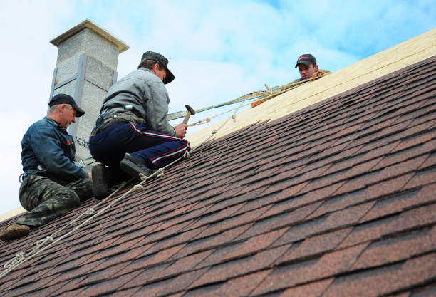 Best Roof Inspection Near Me  in Fremont, MI