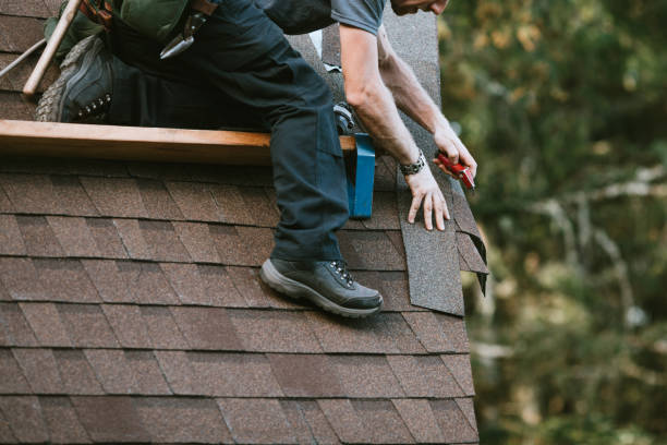 Best Best Roofing Contractors  in Fremont, MI