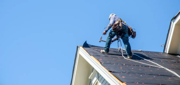 Best Roof Maintenance Services  in Fremont, MI